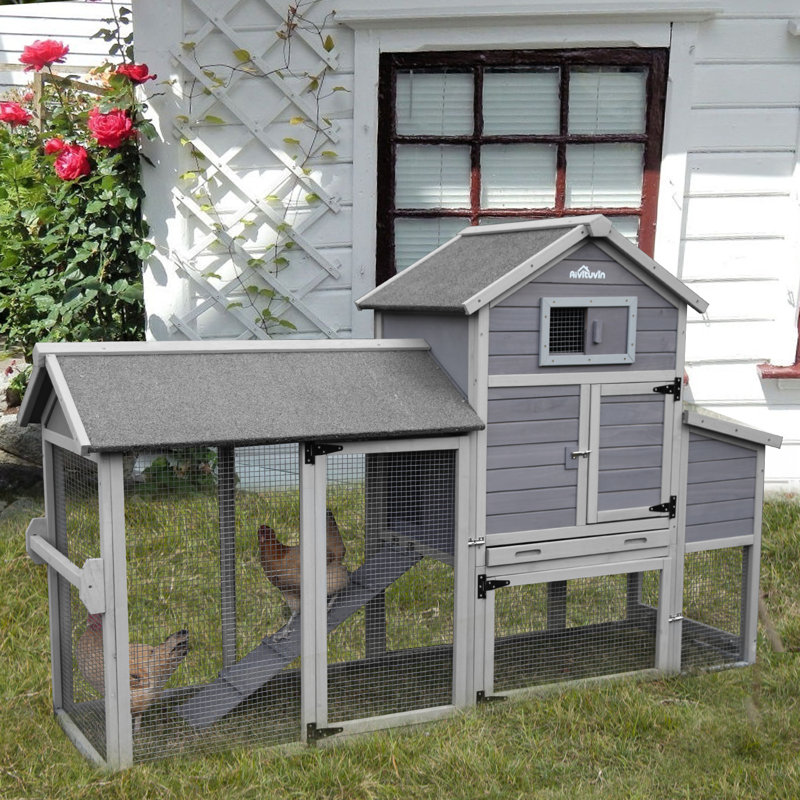 Tucker Murphy™ Pet Frostley Wooden Chicken Coop with Chicken Run